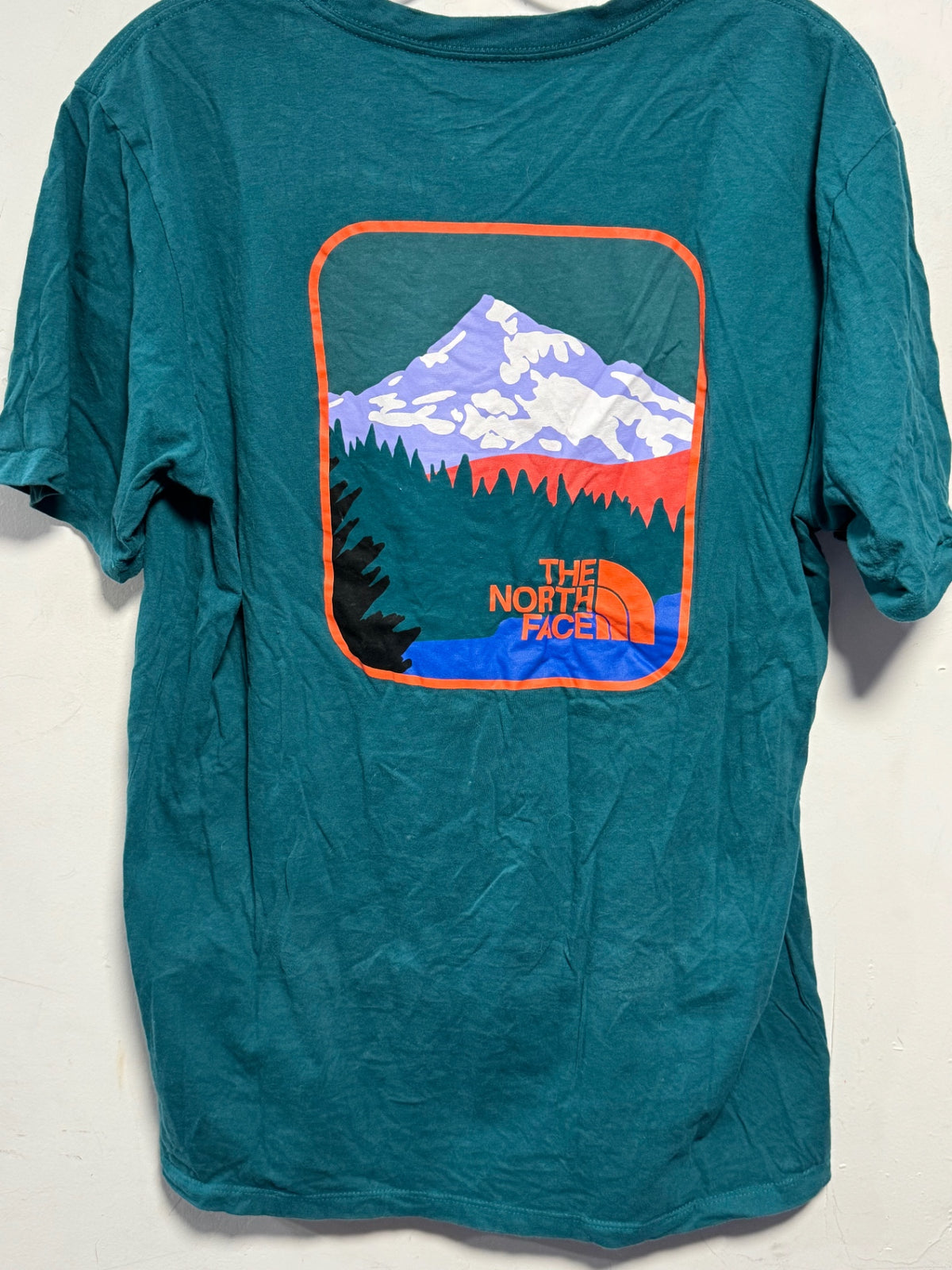 The North Face T-Shirt L Teal